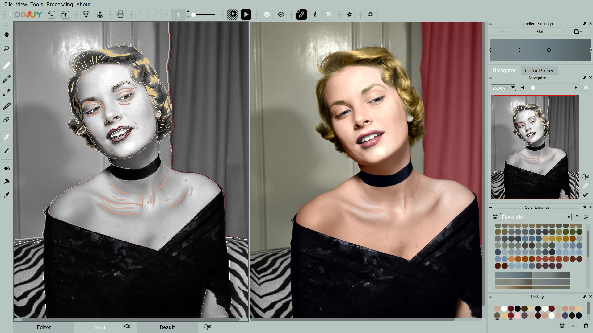 codijy pro photo colorization codijy pro photo colorization