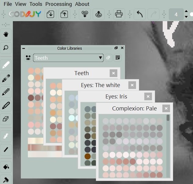 codijy pro photo colorization codijy pro photo colorization