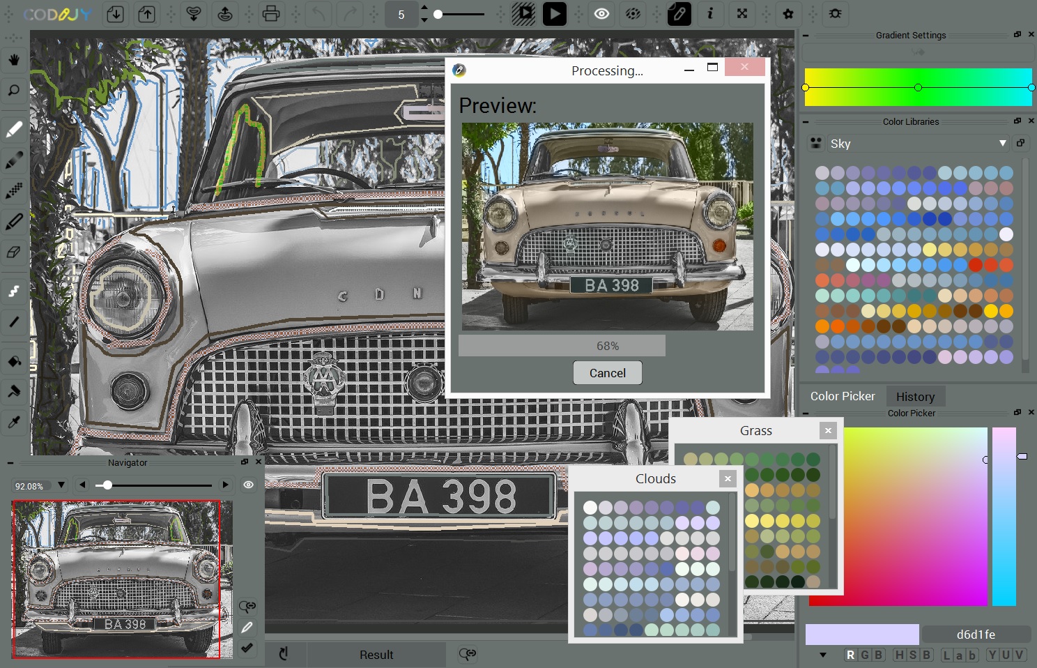 codijy pro photo colorization codijy pro photo colorization