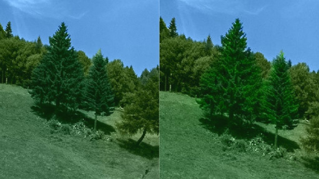 How to Colorize Landscapes | CODIJY