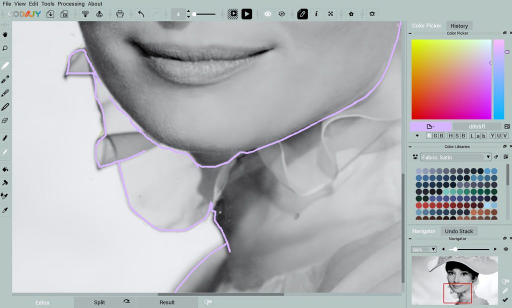 Photo Colorization Process | CODIJY